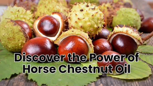 Horse Chestnut Oil Benefits for Varicose Veins Healing