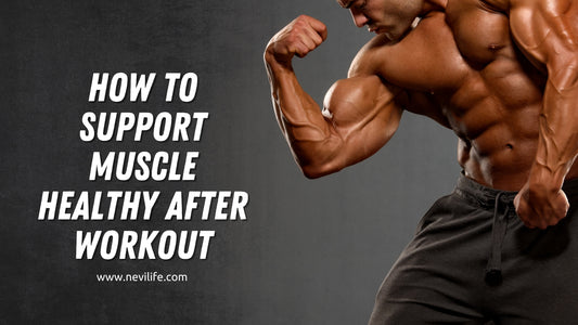 How to Support Muscle Healthy After Training