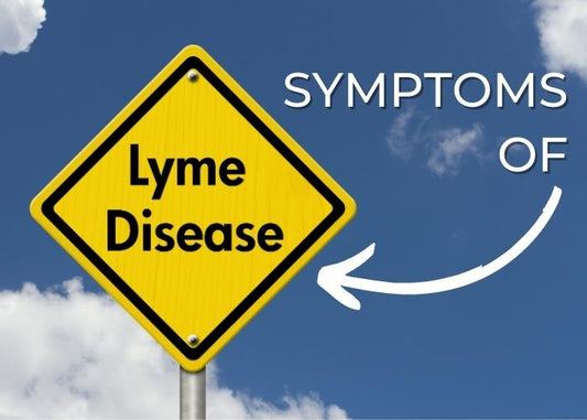 Lyme Disease Symptoms
