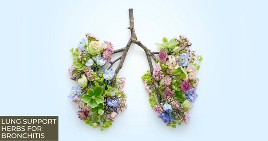 Lung Support Herbs for Bronchitis