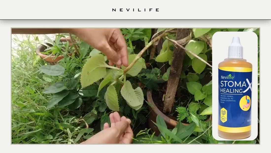 Naturellement Huile cicatrisante Nevilife Stomax : une solution naturelle pour la santé digestive