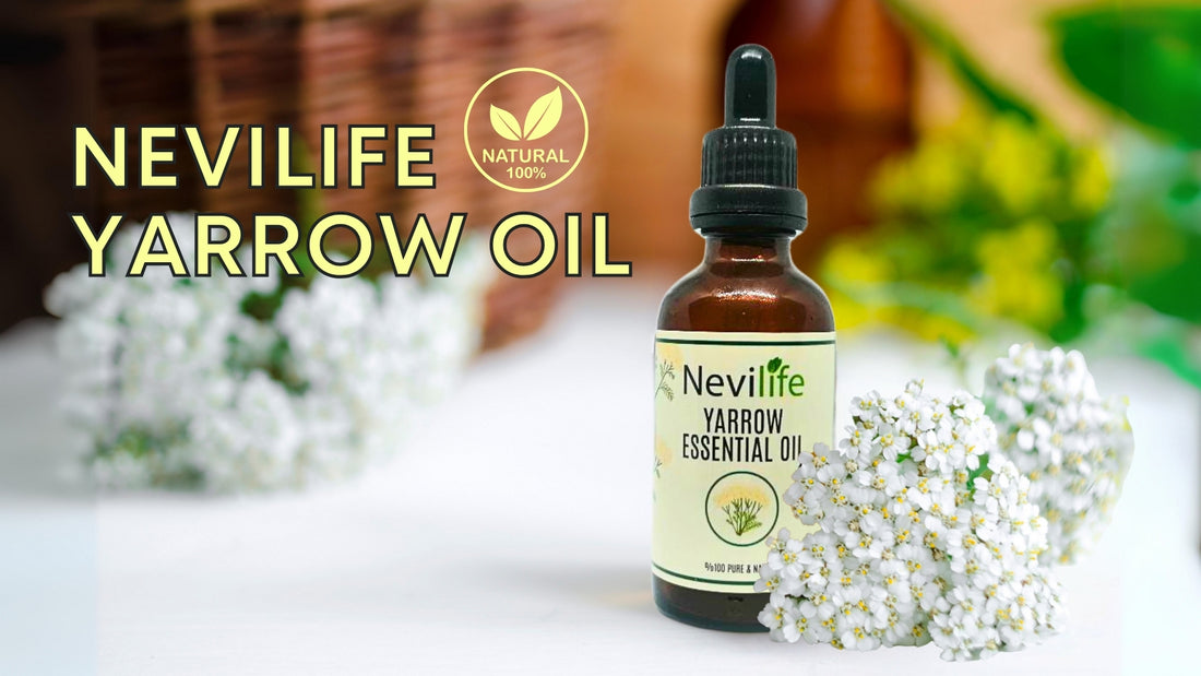 The Remarkable Benefits of Yarrow Oil