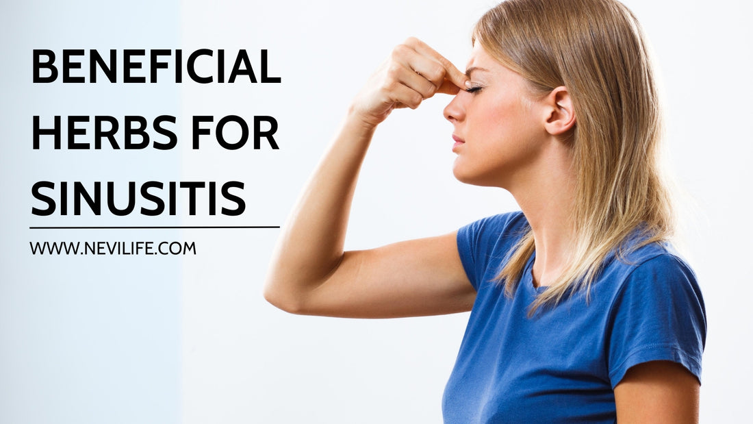 Nevilife beneficial herbs for sinusitis