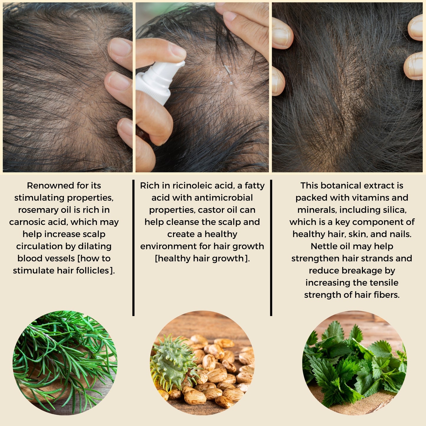 GLP Hair Root Serum