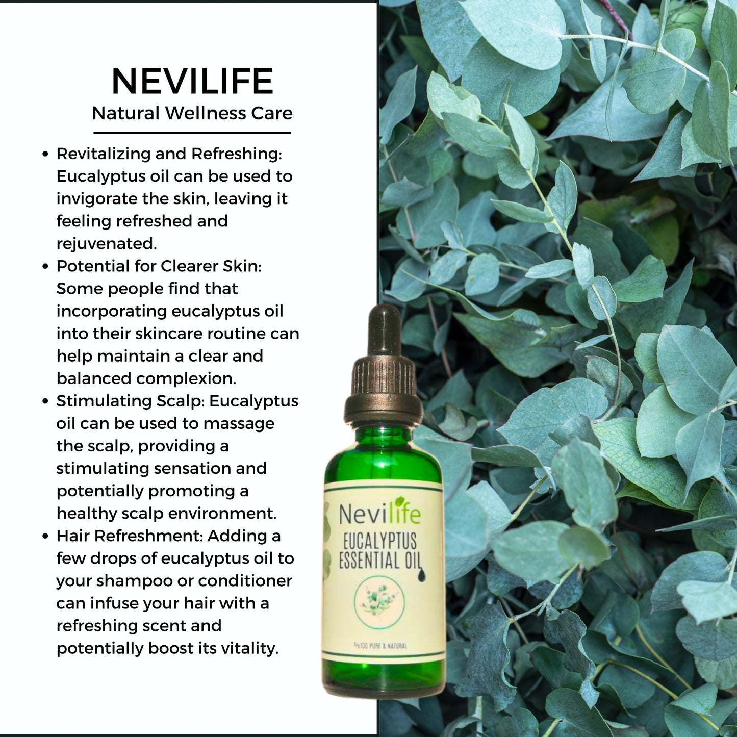 Organic Eucalyptus Oil 50 ml