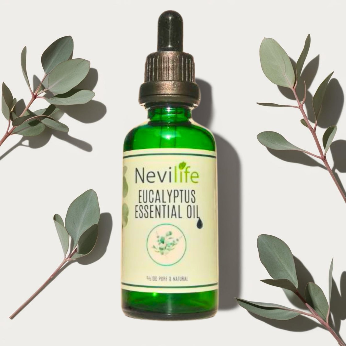 Organic Eucalyptus Oil 50 ml