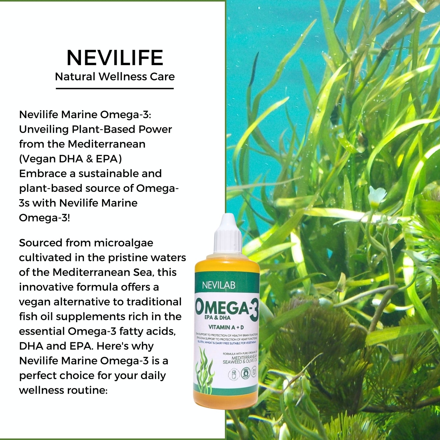 Nevilab Omega 3 (Vegan DHA & EPA) 100 ml