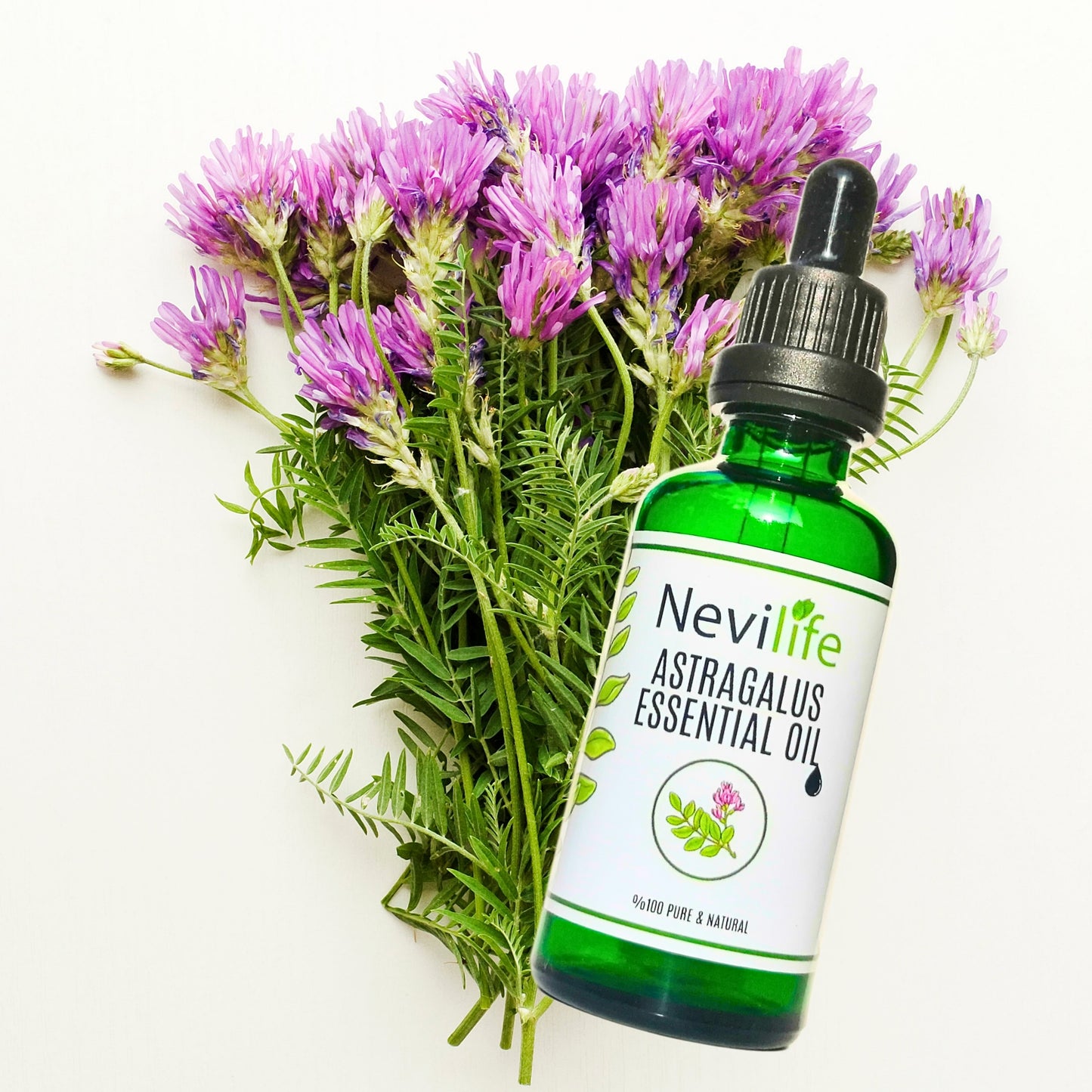 Organic Astragalus Oil
