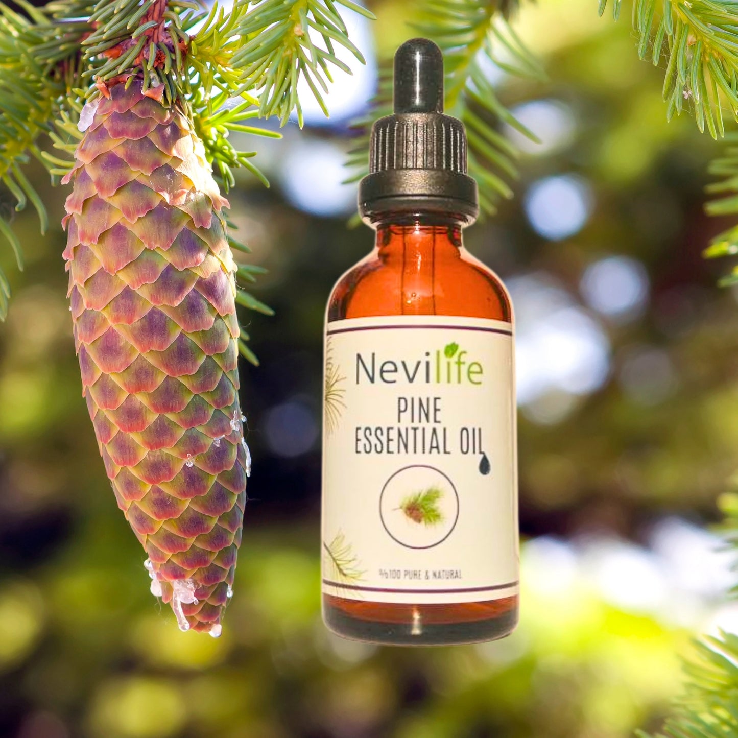 nevilife organic pine turpentine herbal essential oil