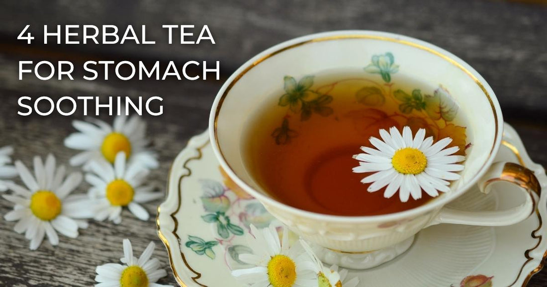 4 Herbal Tea for Stomach Soothing