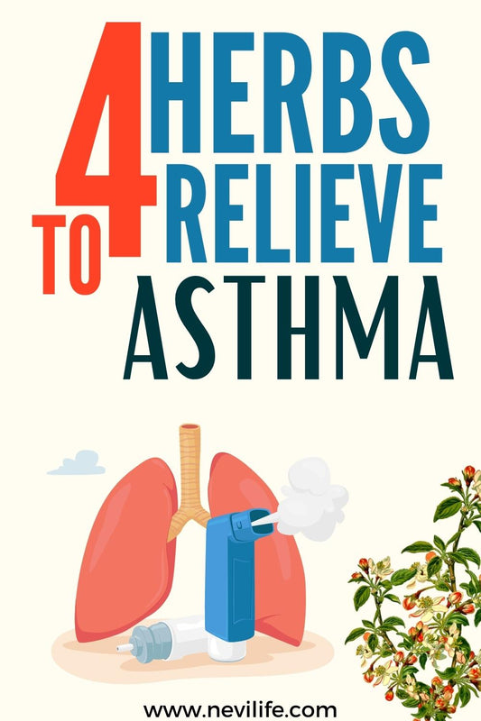 Which Herbs Are Good for Asthma?