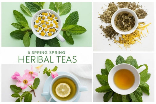 Best 6 Spring Herbal Tea Ideas to Refresh and Revitalize