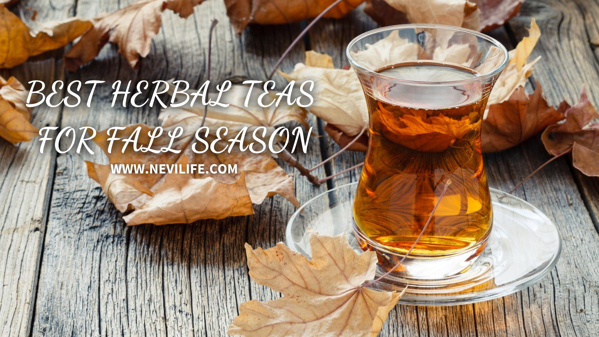 Best Herbal Tea Ideas for September: Embrace the Fall Season – nevilife