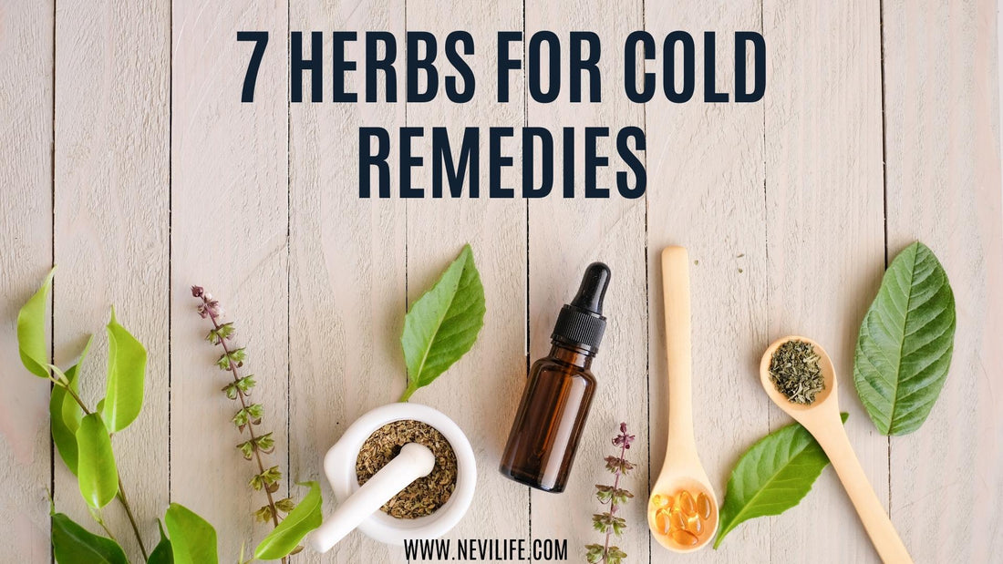 Nature’s Medicine Cabinet: The 7 Best Herbs for Cold Remedies
