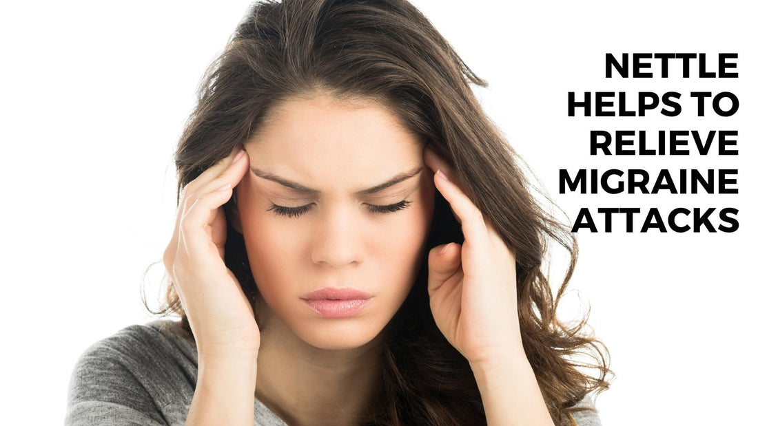 Nettle Helps to Relieve Migraine Attacks