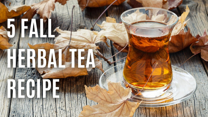 5 Fall Herbal Tea Recipe