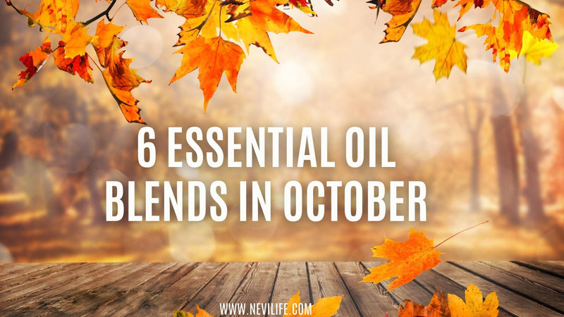 6 Healing Essential Oİl Blends in October Fall Season