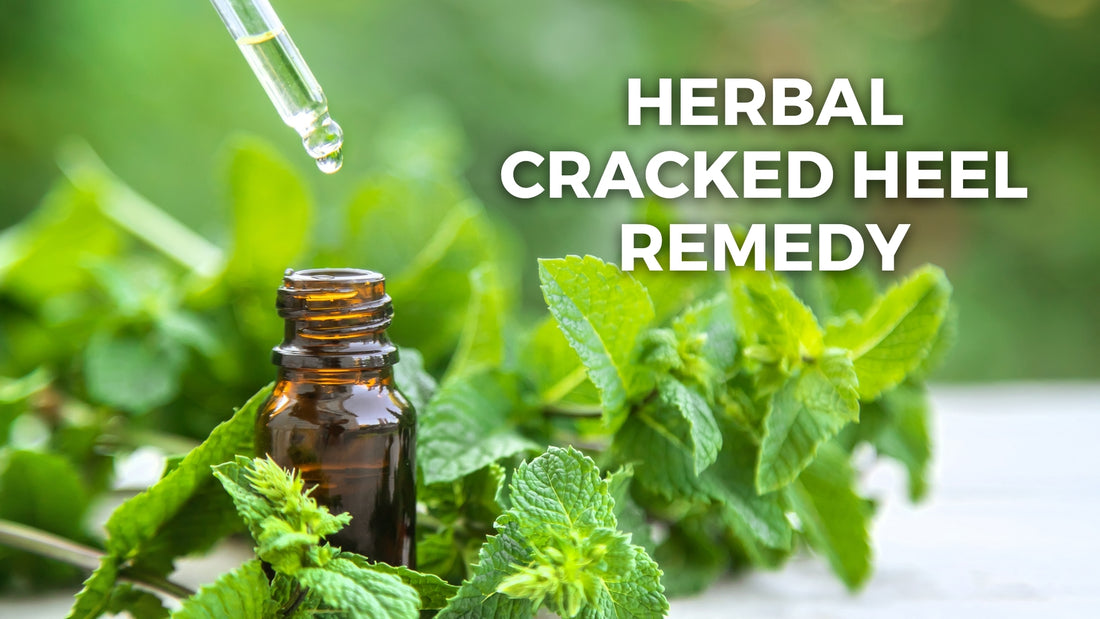 Beneficial Herbs for Cracked Heel Remedy