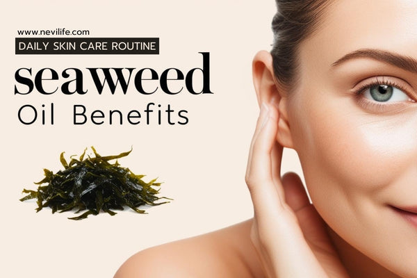 Seaweed Oil Benefits in Your Daily Skincare Routine