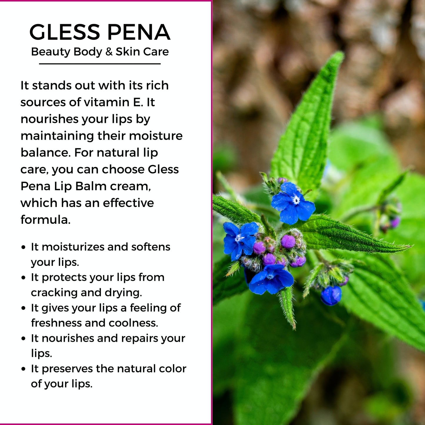 Gless Pena Lip Balm Natural & Vegan Lip Care