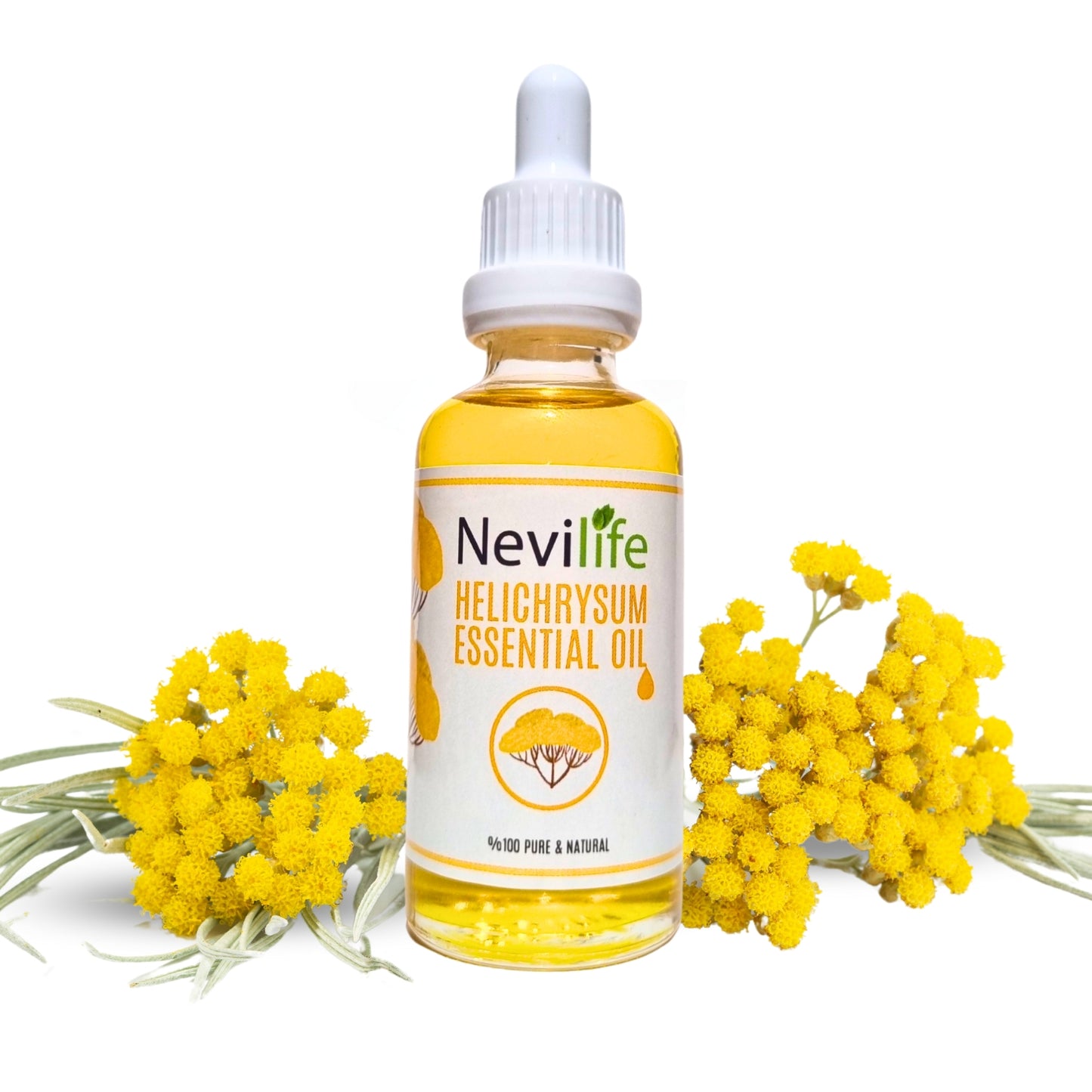 Organic Helichrysum Oil